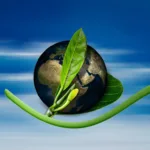 Jak żyć ekologicznie i społecznie zrównoważenie